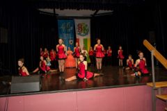 DSC10245